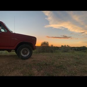 Meet your Posher, Carter